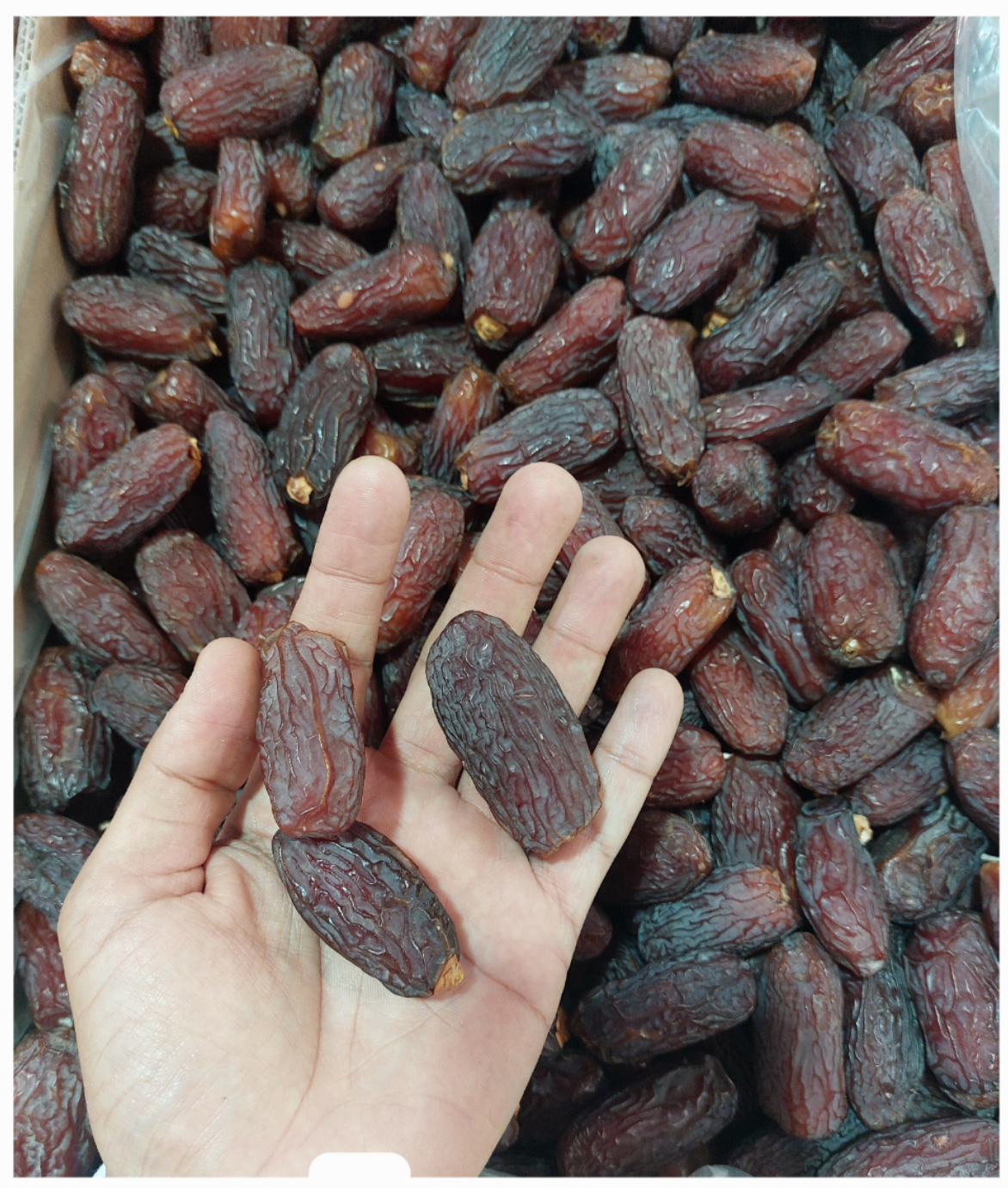 Medjool Large (Egyptian) Dates - 1kg